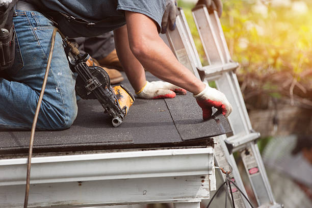 Best Storm Damage Roof Repair  in Goodman, MO