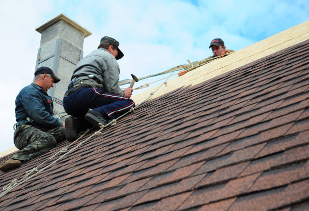 Best Roof Gutter Cleaning  in Goodman, MO